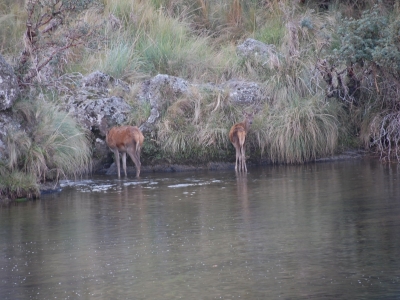 Hunting Lodge Argentina