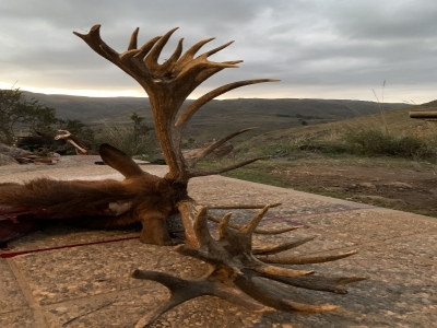 Hunting Lodge Argentina