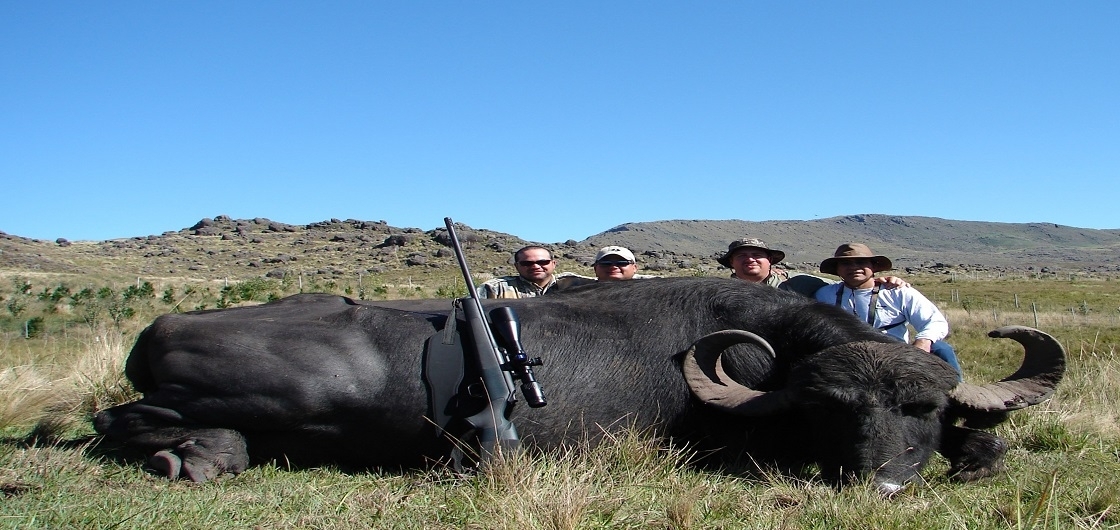 26_4-record-book-sci-water-buffalo-horseback-2.JPG